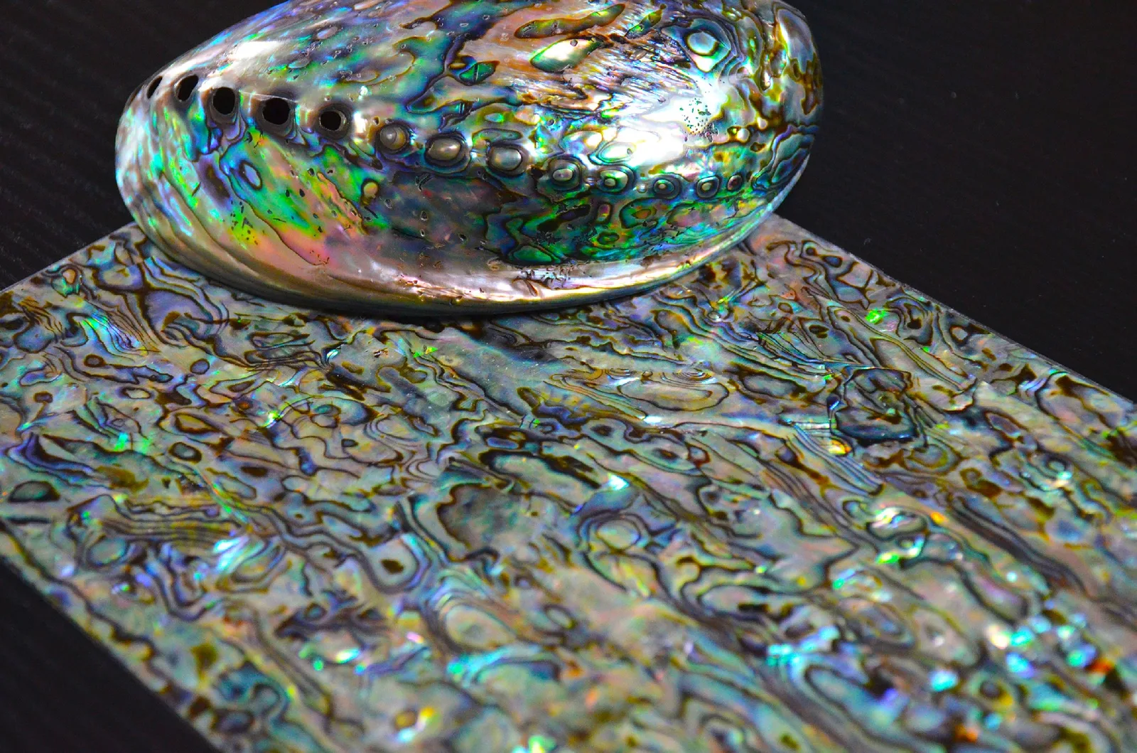 Shell inlay application photo 1