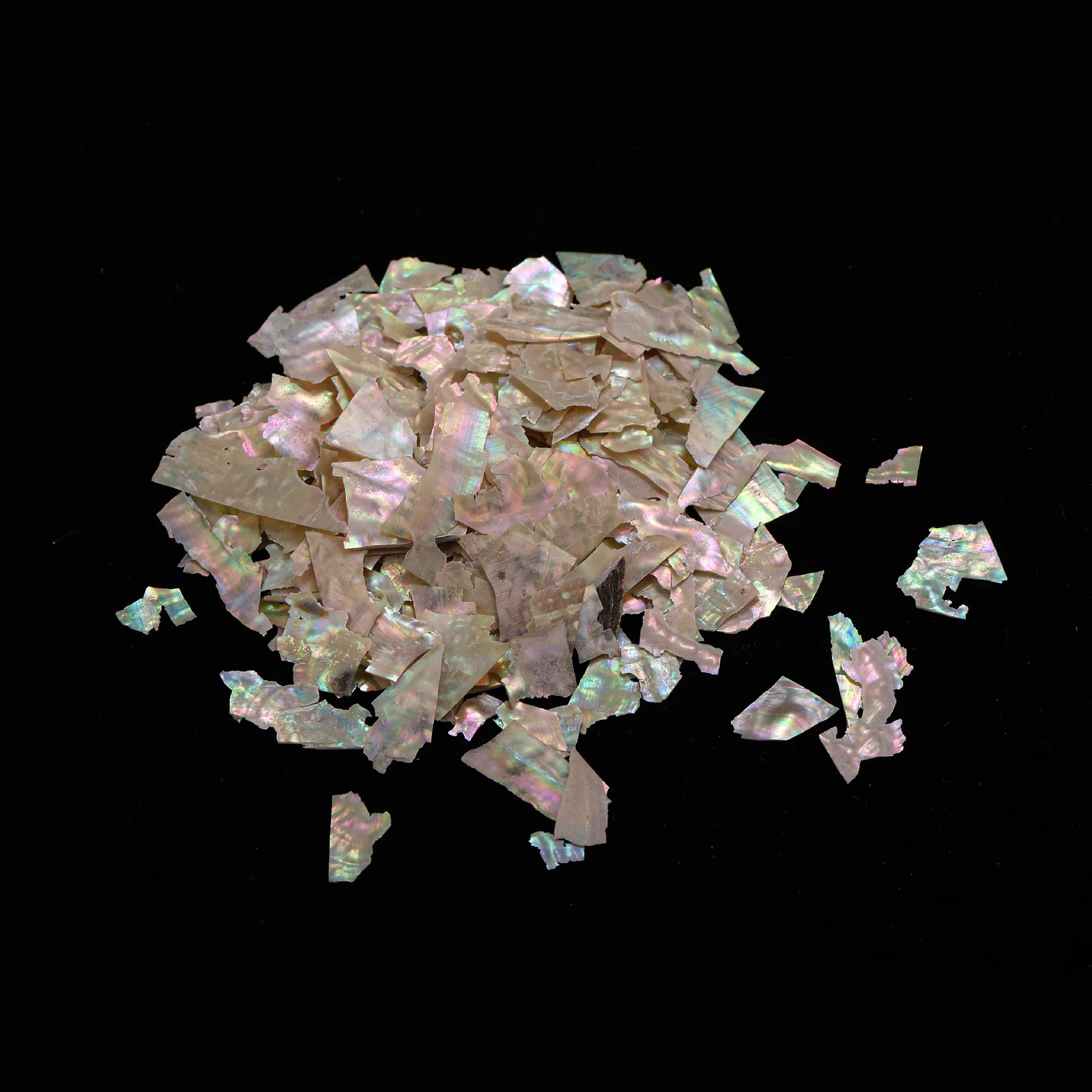 Abalone Pieces from Bohai Bay product photo