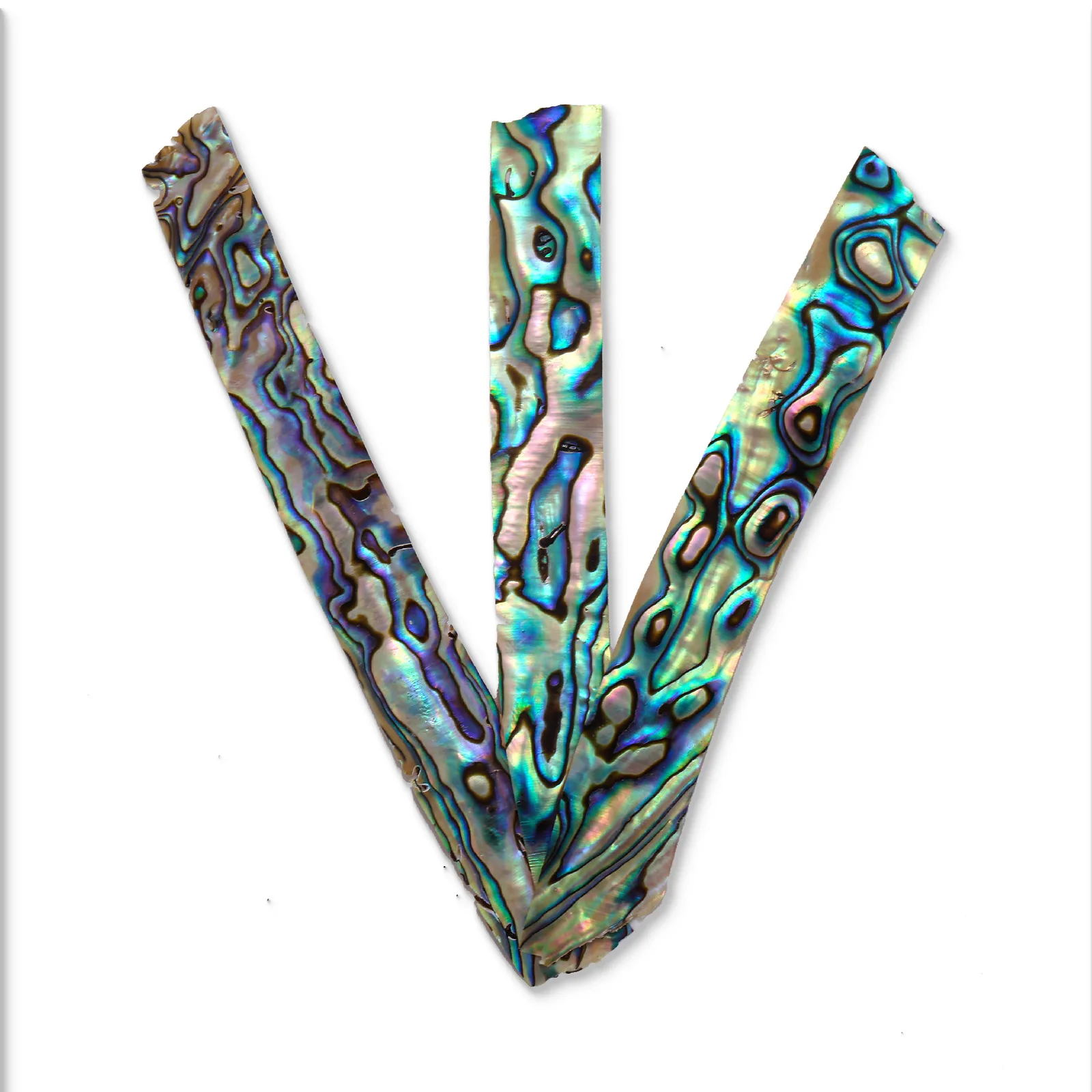 New Zealand Abalone & Shell Pieces – 70 × 15 × 0.2 mm product photo