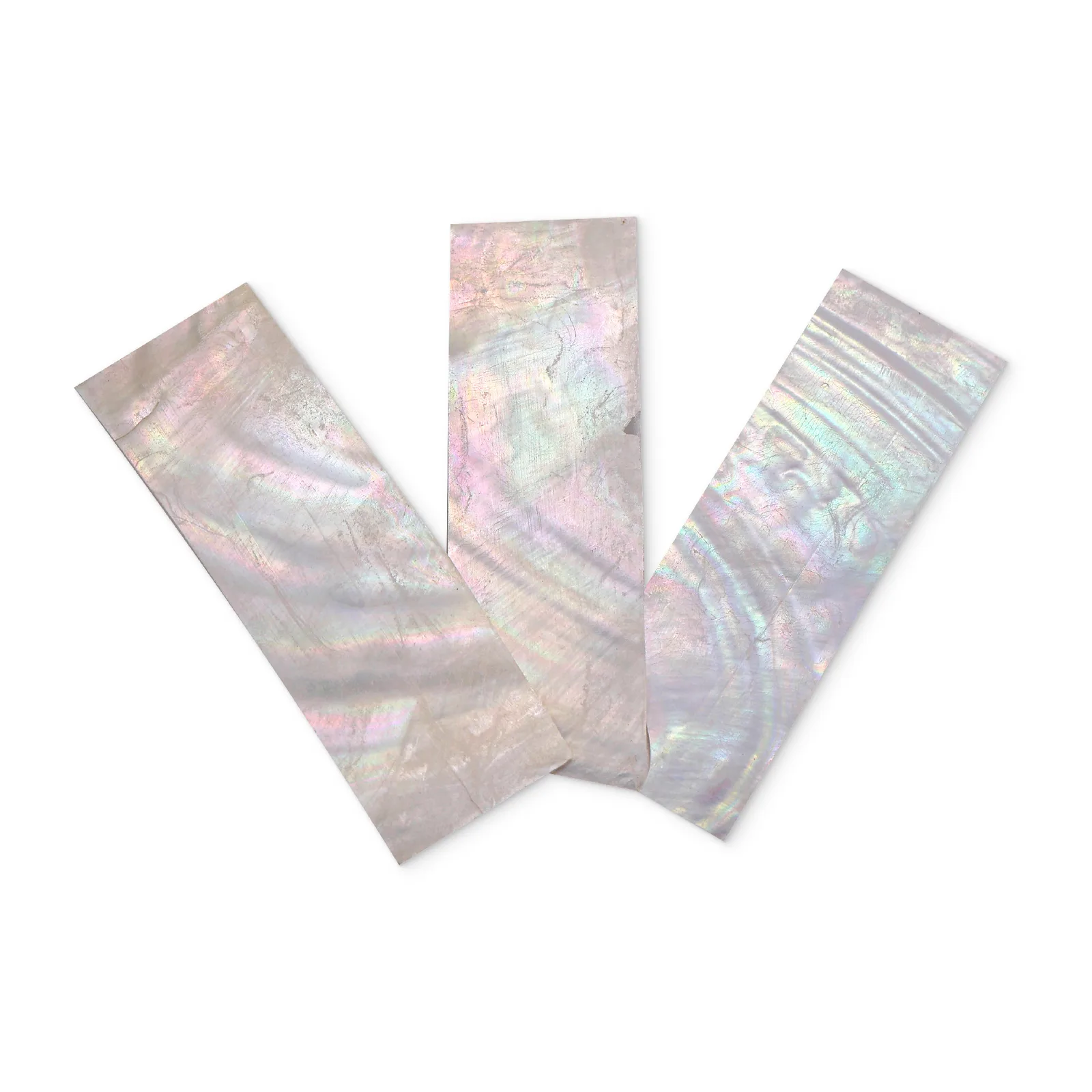 Multicolored White River Mussel Shell Slices – 60 × 30 × 0.2 mm product photo