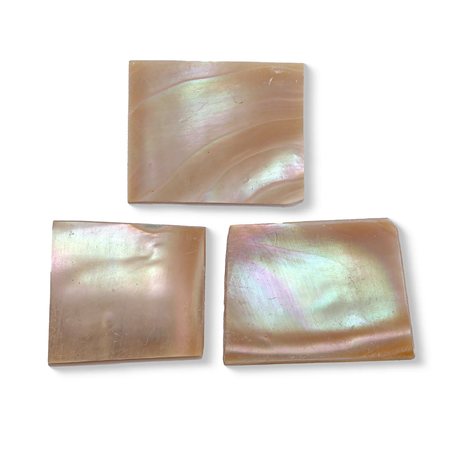 Turbo marmoratus Shell Sheet – 30 × 40 × 1 mm product photo