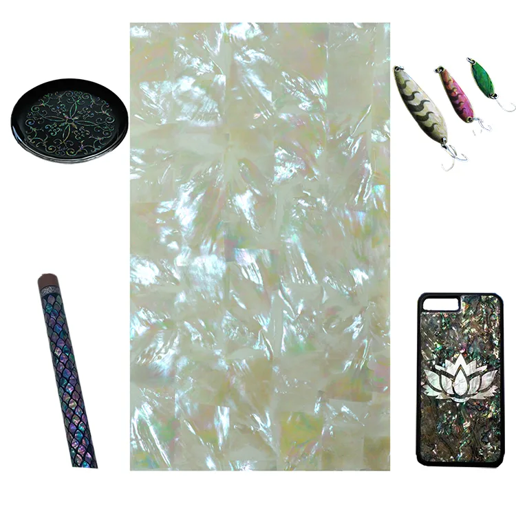 DB024 shell sheet product photo