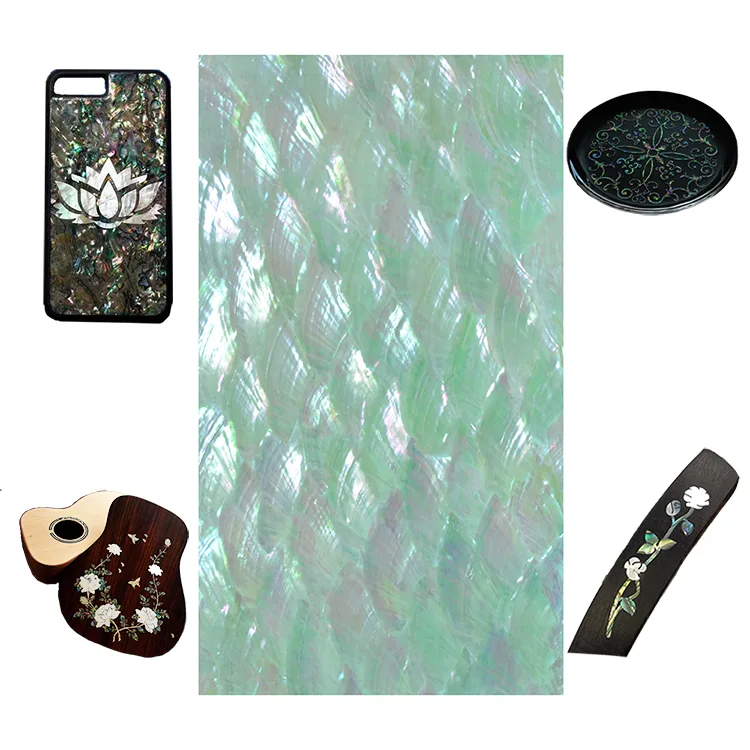 DB044 shell sheet product photo