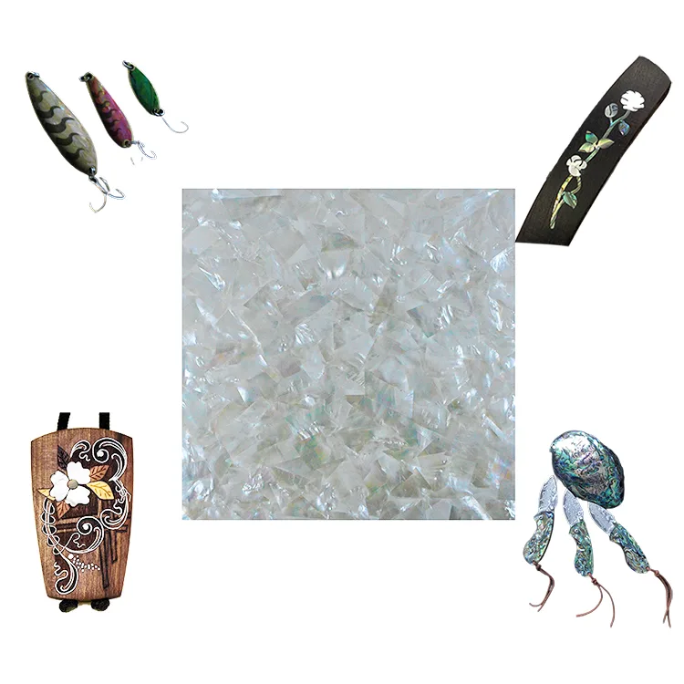 DB059 shell sheet product photo